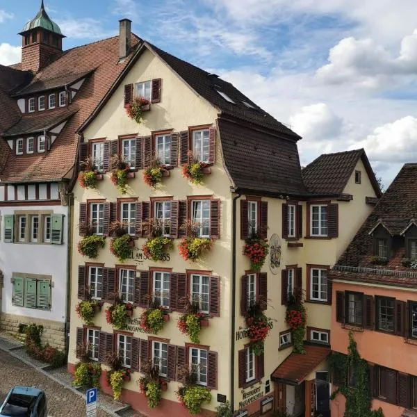Hotel Am Schloss *** Superior，位于Kiebingen的酒店