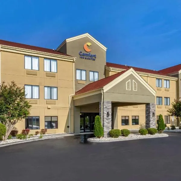 Comfort Inn & Suites Troutville - Roanoke North - Daleville，位于托特维尔的酒店
