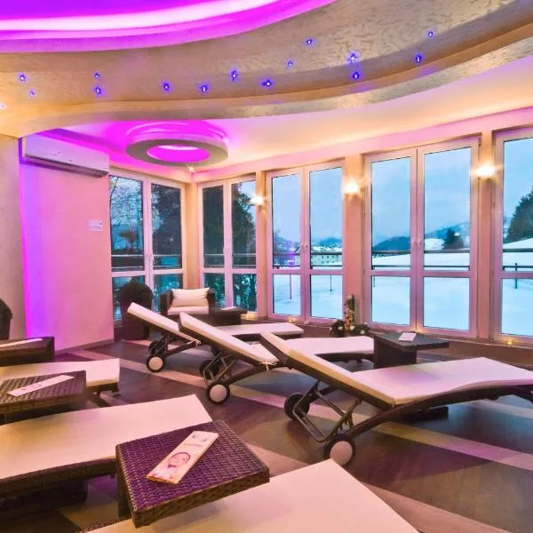 Centrum Green Hill Business & SPA，位于维斯瓦的酒店