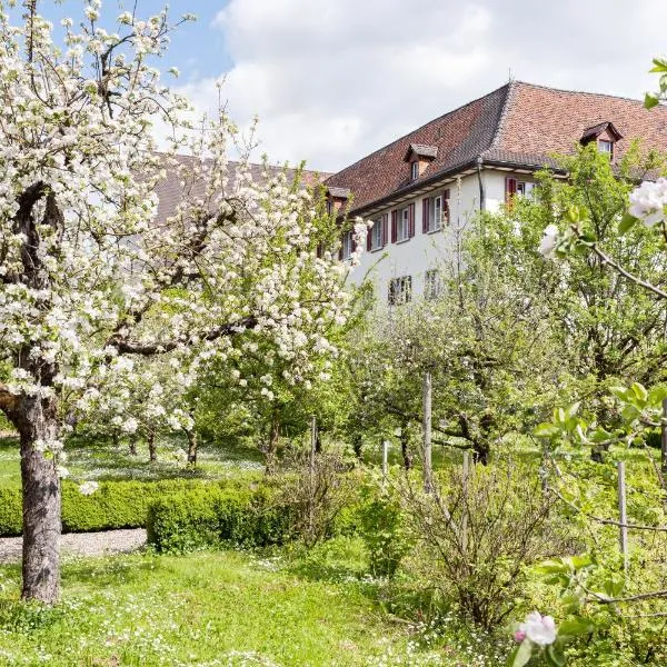 Kloster Dornach / Basel，位于Mariastein的酒店