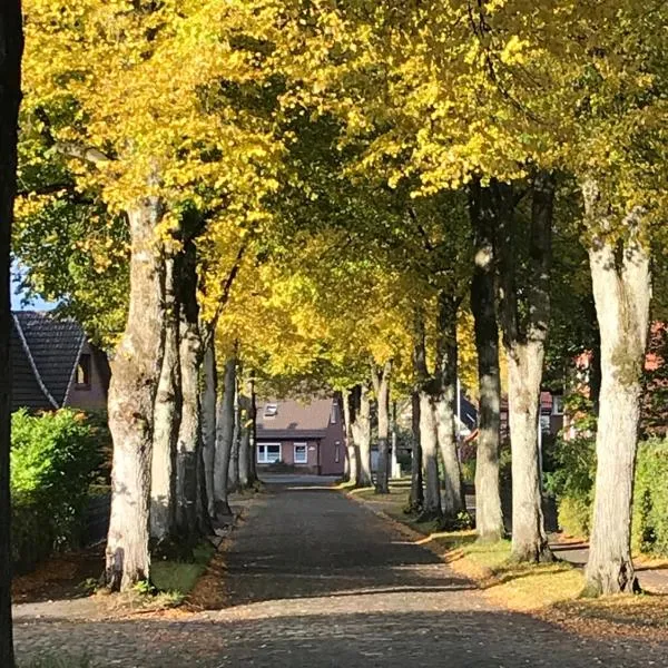 Ferienwohnung Am Holzfeld，位于施内沃丁根的酒店