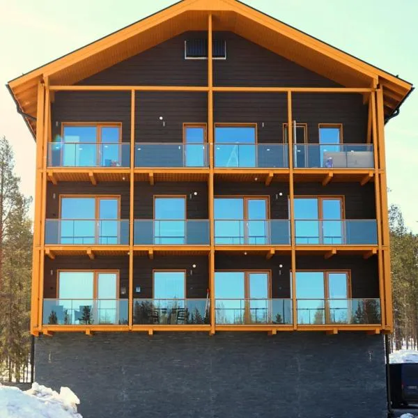 Tunturinlaita D6，位于列维的酒店