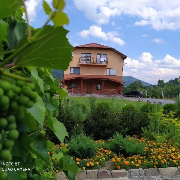 Bilovoddya Hotel，位于维什卡的酒店