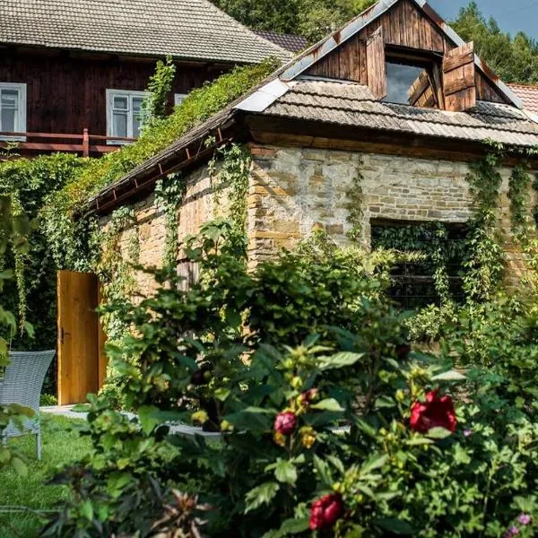Mała Kuźnia，位于兰茨科罗纳的酒店