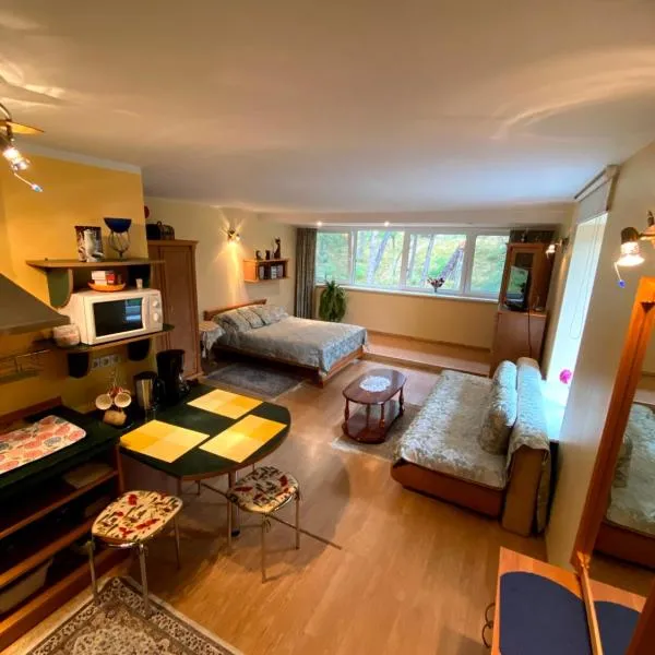 Apartamentai Nidoje，位于奈达的酒店