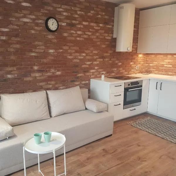 Apartament Młynarska - indywidualny dostęp，位于皮瑟兹诺的酒店