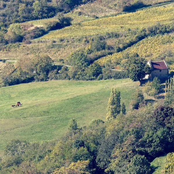 Les Billardes - le gite - Jura，位于Gizia的酒店