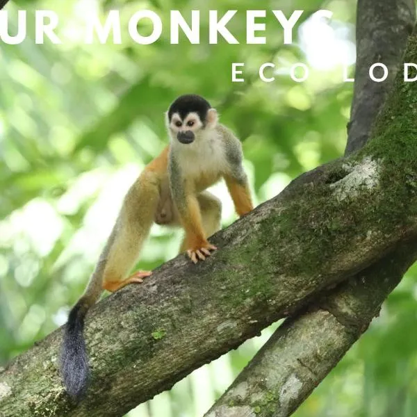 Four Monkeys Eco Lodge - Jungle & Beach，位于戈尔菲托的酒店