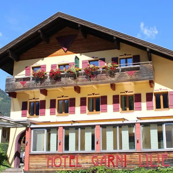 Die Lilie / Hotel Garni，位于罗伊特的酒店
