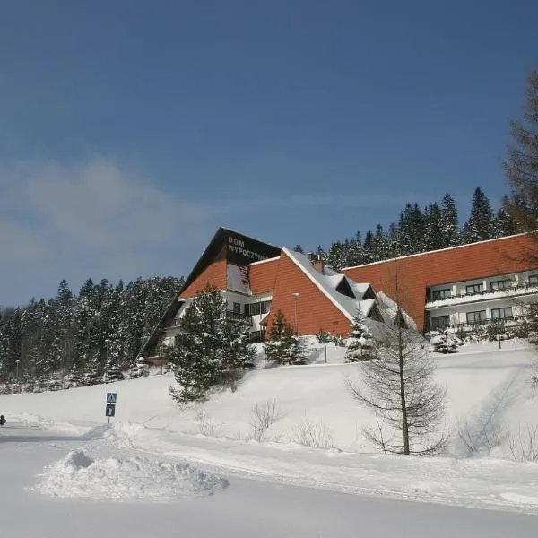 Dom Wypoczynkowy Pod Taborem，位于涅兹卡城堡的酒店