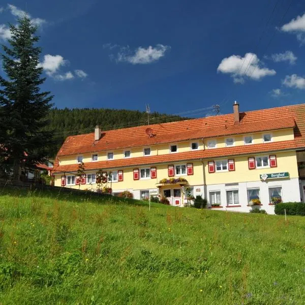 Gasthof-Pension Berghof，位于弗罗伊登施塔特的酒店