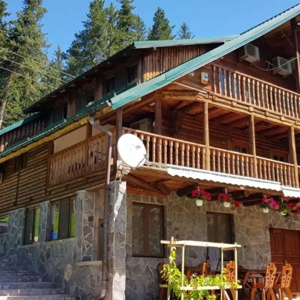 Cabana Soveja,位于索韦亚的酒店