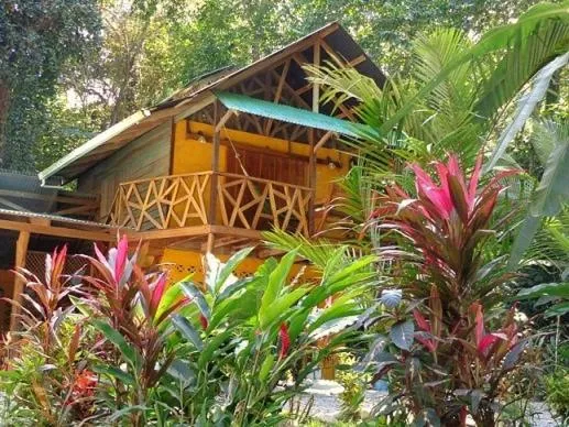 莫阿比山林小屋，位于别霍港的酒店