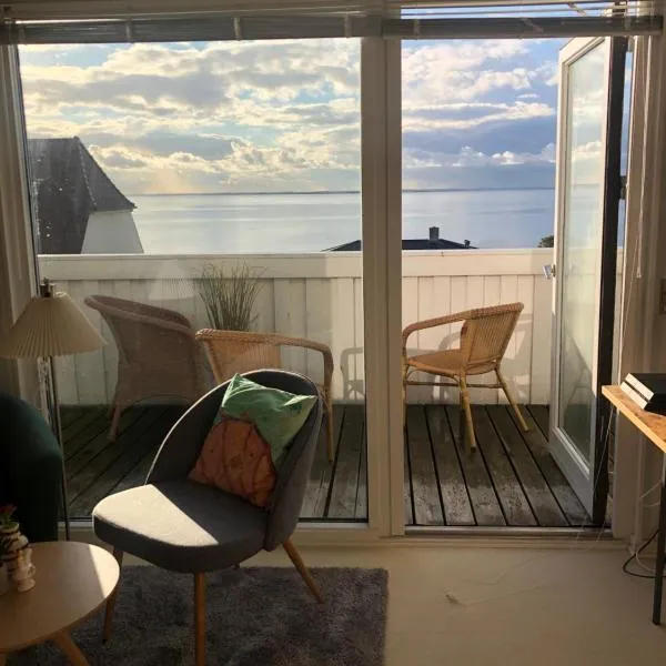 Dejligt værelse med eget bad og havudsigt，位于Årø的酒店