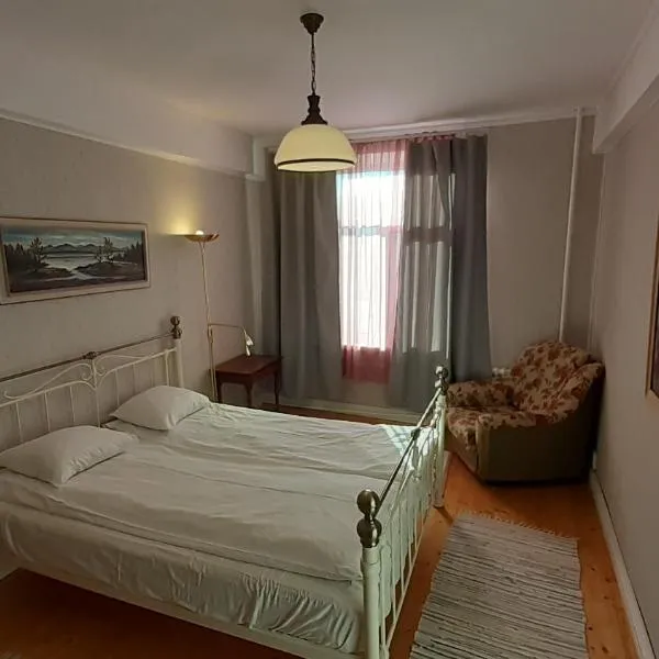 Majakovski Family Suite，位于Voka的酒店