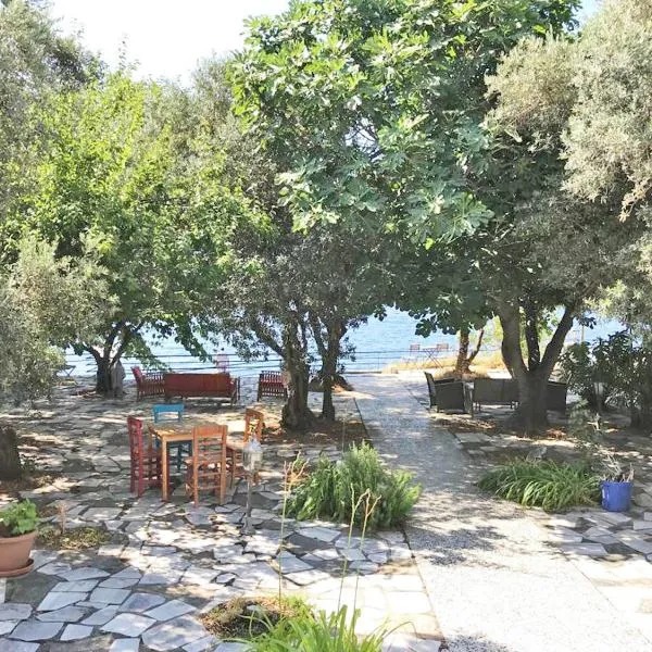 ada-art guesthouse design rooms next to beach，位于Çınarlı的酒店