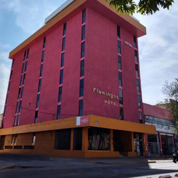 Hotel Flamingos，位于瓜达拉哈拉的酒店