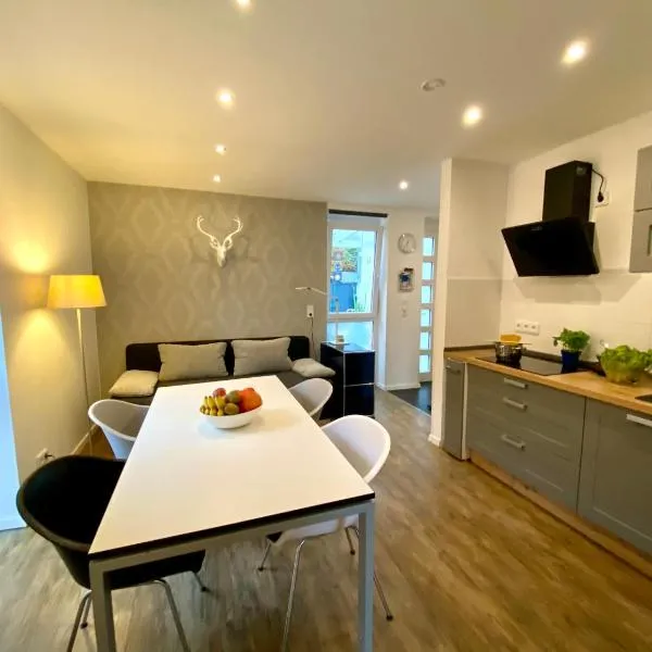 Apartment End，位于海德堡的酒店