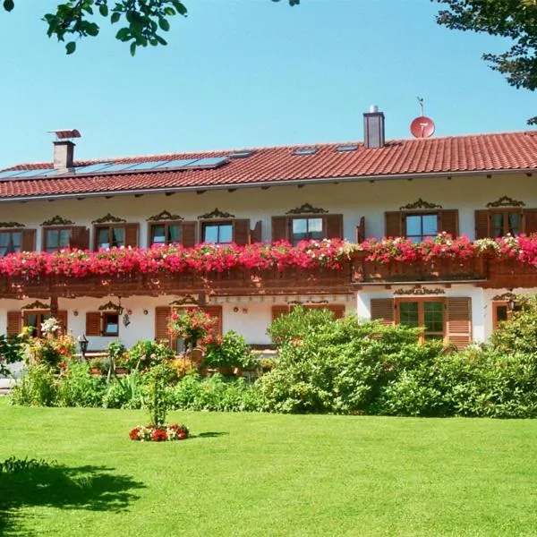Gästehaus Hubertushof，位于巴特法伊尔恩巴赫的酒店