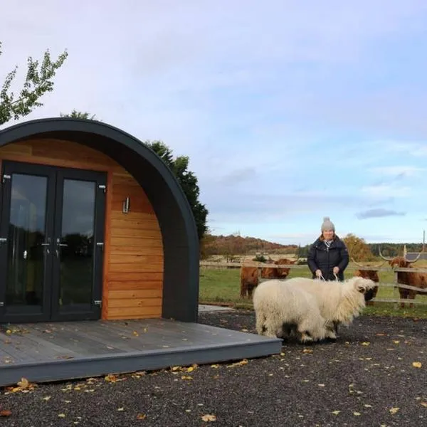 Glampods Glamping Pod - meet Highland Cows and Sheep Elgin，位于埃尔金的酒店