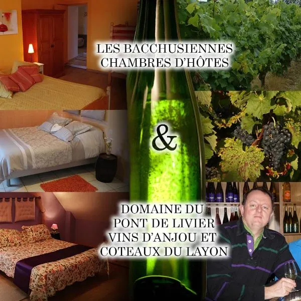 巴楚希恩思住宿加早餐旅馆，位于Ambillou-Château的酒店