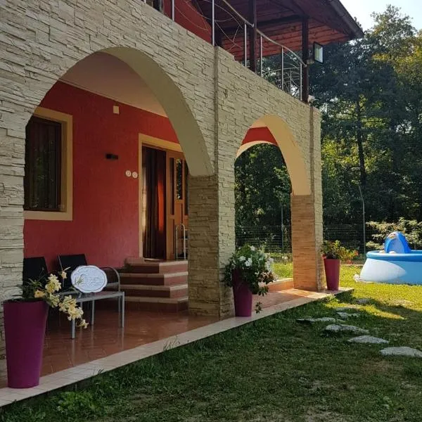 Casa Relax，位于Bîltişoara的酒店