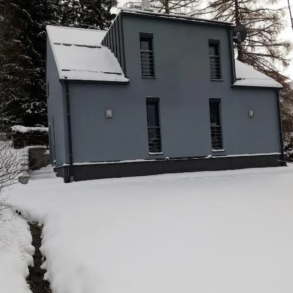 Quaint Holiday Home in elezn Ruda near Ski Area，位于Hyršov的酒店