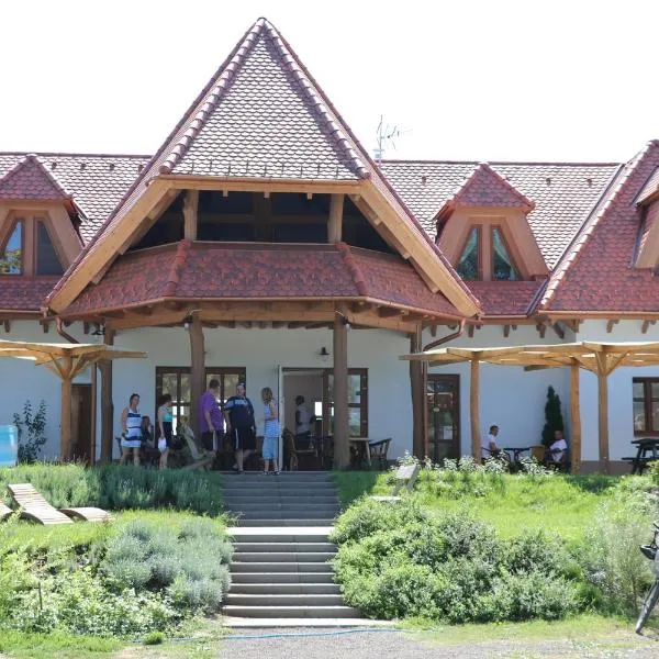 Kormorán panzió，位于Tiszaszőlős的酒店