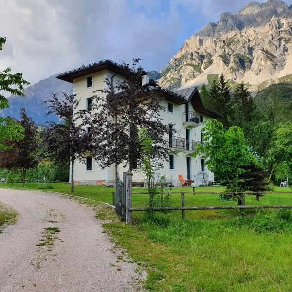 Mansarda in villa a Borca di Cadore，位于Villanova的酒店