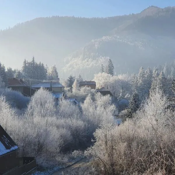 Strada Tiszás vacation house，位于图什纳德的酒店