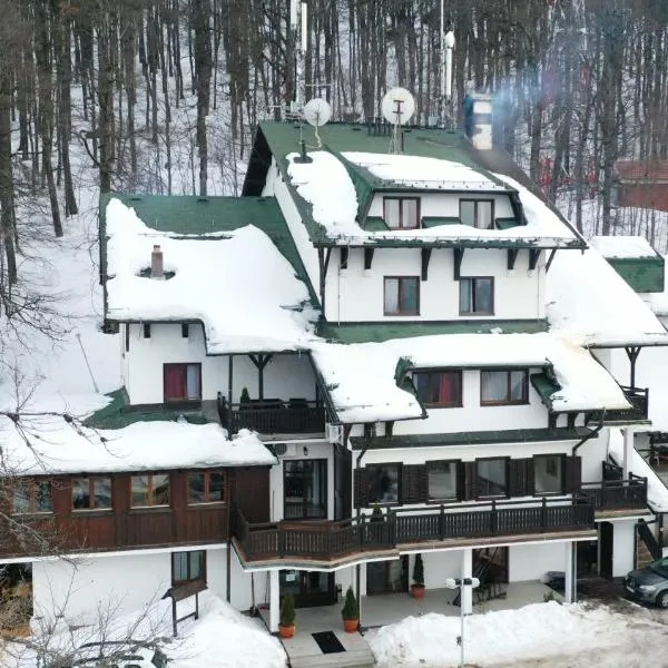 Guesthouse Babin Zub，位于Crni Vrh的酒店