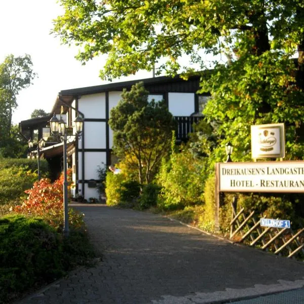 德瑞豪森韦德霍夫乡村旅馆，位于布茨巴赫的酒店