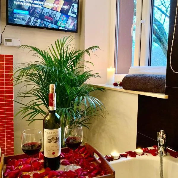 Słupsk forest PREMIUM LOVE APARTAMENT M5 - Kaszubska street 18 - Wifi Netflix Smart TV50 - double bathtub - up to 4 people full - pleasure quality stay，位于Dębnica Kaszubska的酒店