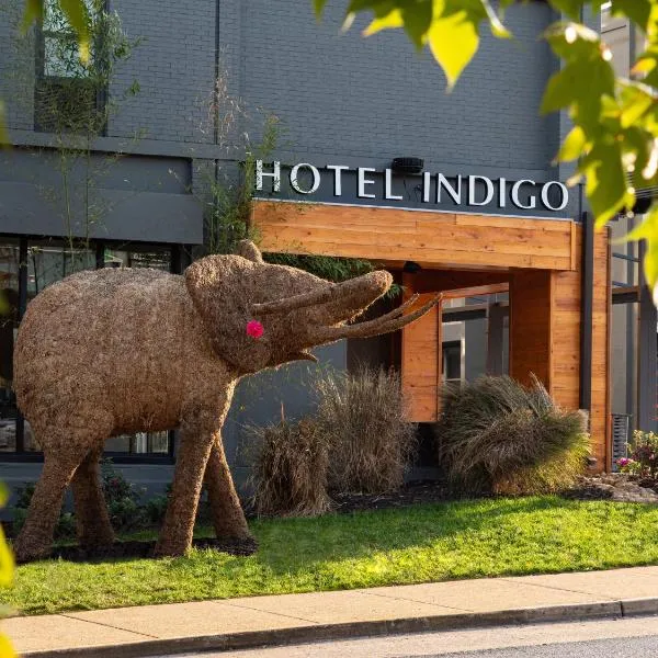 Hotel Indigo Chattanooga - Downtown, an IHG Hotel，位于Lookout Mountain的酒店