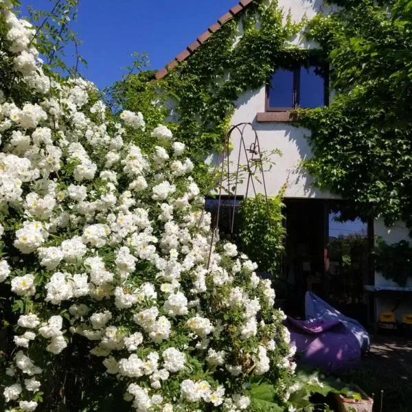 chambre d'hôtes de charme, un temps en forêt，位于Westhouse的酒店