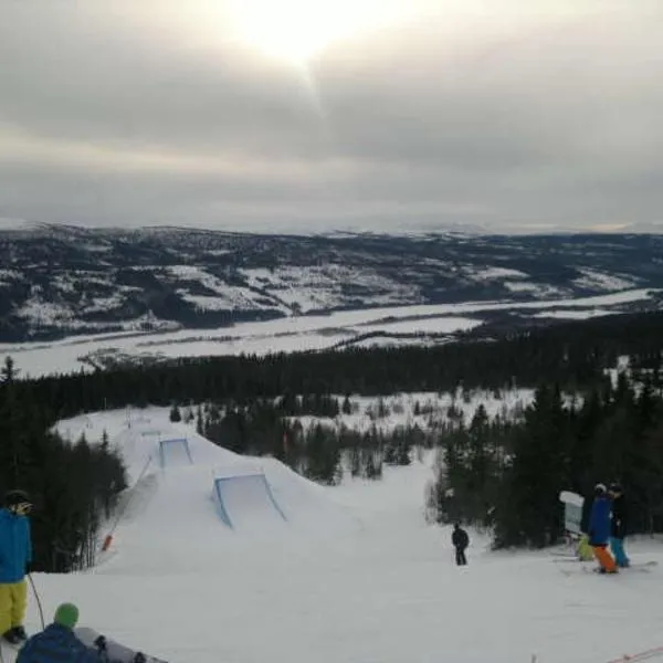 Åre-Bjørnen Falken 17A，位于奥勒的酒店