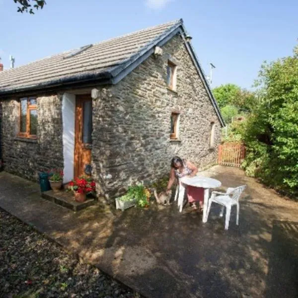 Inviting 2-Bed Cottage in Newcastle Emlyn，位于Cwm-coy的酒店