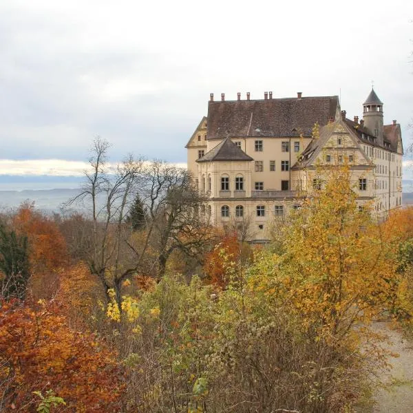 Ferienwohnung am Schloss，位于Roggenbeuren的酒店