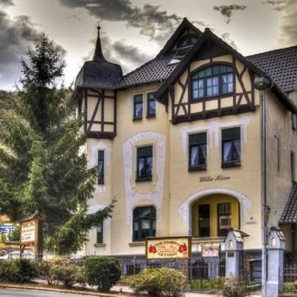 爱丽丝别墅酒店，位于Wendefurth的酒店