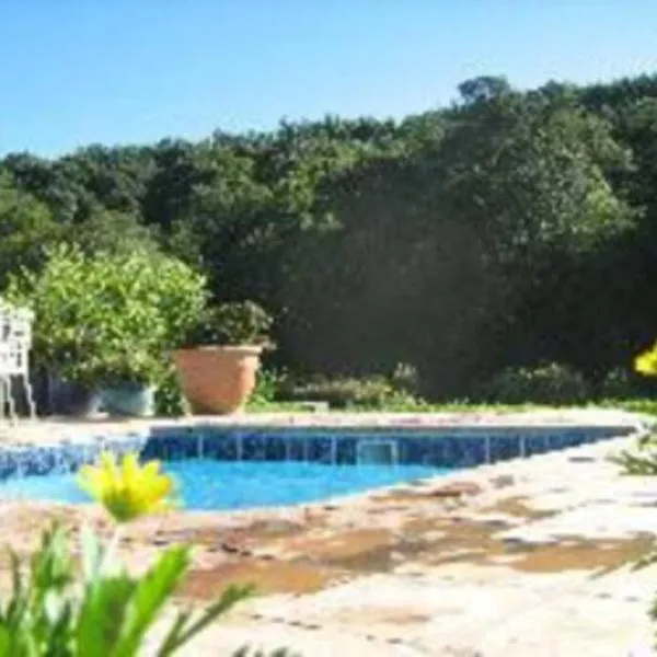Hornbills Forest Cottages，位于Stutterheim的酒店