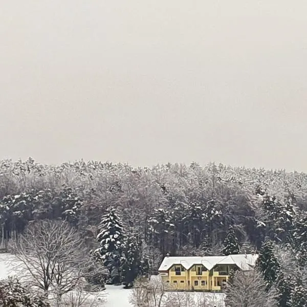 Apát Panzió és Hajdina Étterem，位于Kétvölgy的酒店