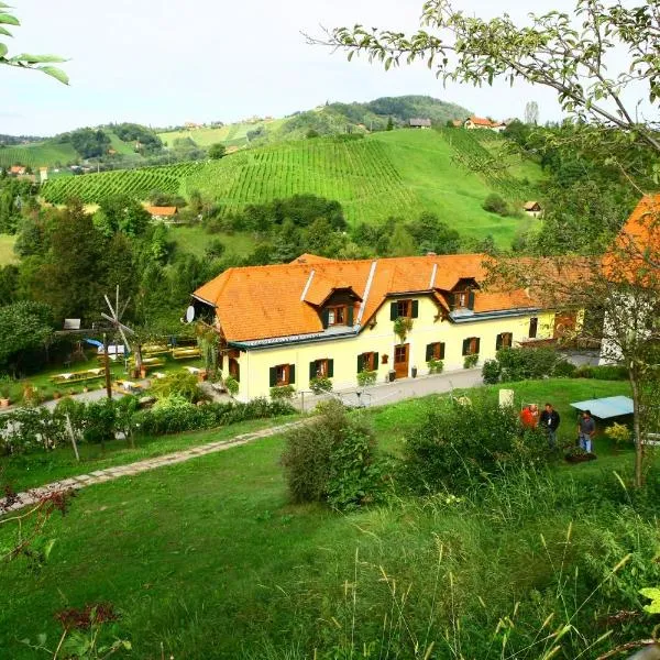 葛诺斯古特洛伦茨乡村旅馆，位于绍萨尔地区基策克的酒店