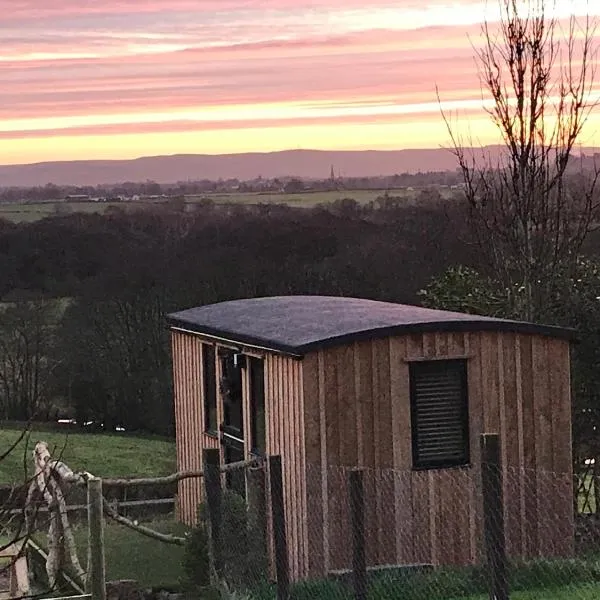 Stunning Shepherds Hut rural bliss Dumfries，位于Beeswing的酒店