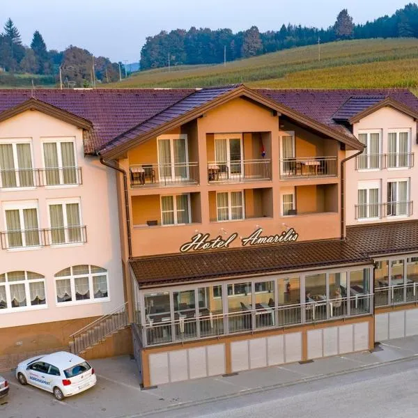 Hotel Amarilis，位于Donji Zvečaj的酒店