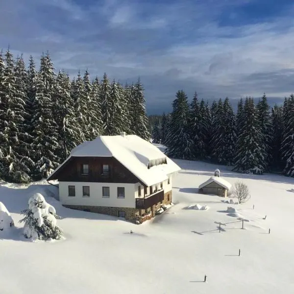 Pension Helena Honesová，位于赫尔斯卡克维尔达的酒店