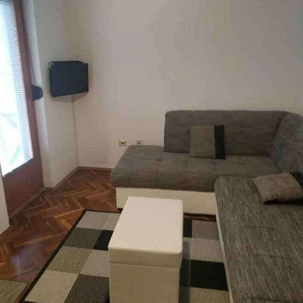 Apartman Zubac, Vrnjacka Banja，位于Vrnjci的酒店