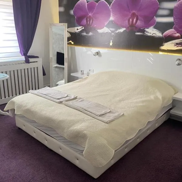 Vladana DELUXE App 2，位于克鲁舍瓦茨的酒店