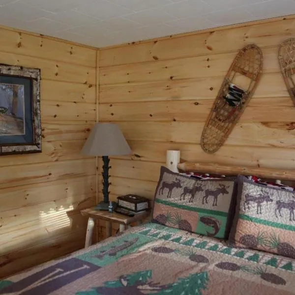 Rowe's Adirondack Cabins of Schroon Lake，位于阿迪朗达克的酒店