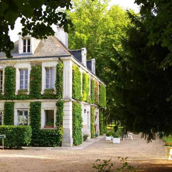 Chambres d'hôtes du domaine de l'Isle，位于Civray-de-Touraine的酒店