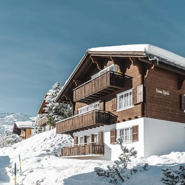 Chalet Sunna Höckli - Pistennah und Ruhig mit Panoramablick，位于伦策海德的酒店